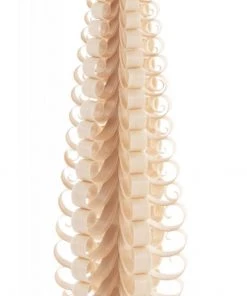 Frankenmuth Clock Company 500/025 - Spanbaum - Wood Chip Tree 10"